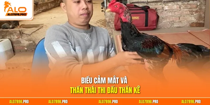 Biểu cảm mắt và thần thái thi đấu thần kê