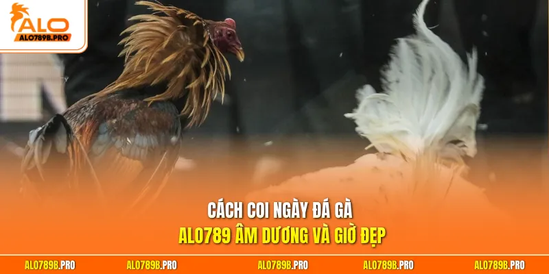 Cách coi ngày đá gà Alo789 âm dương và giờ đẹp
