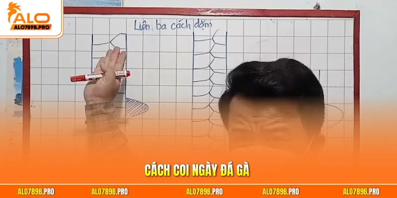 Cách coi ngày đá gà
