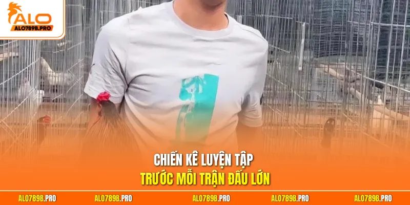 Chiến kê luyện tập trước mỗi trận đấu lớn