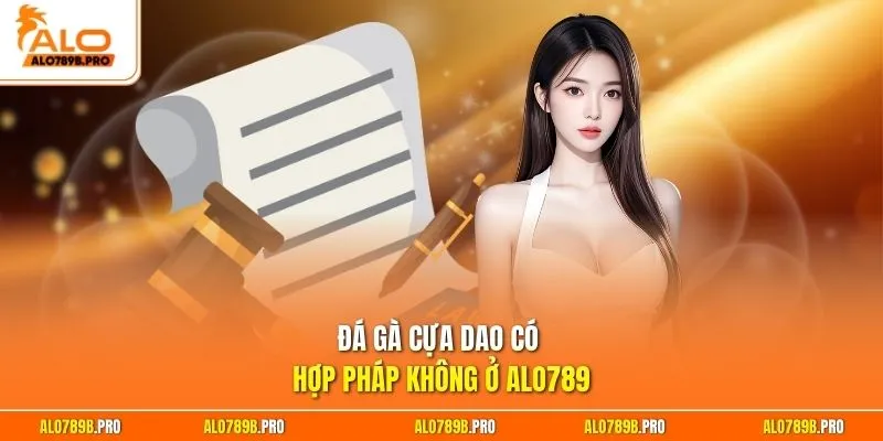 Đá gà cựa dao có hợp pháp không ở Alo789