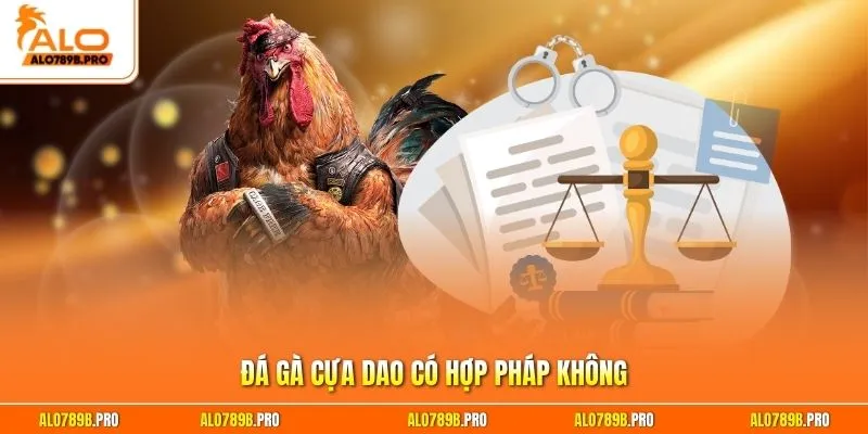 Đá gà cựa dao có hợp pháp không