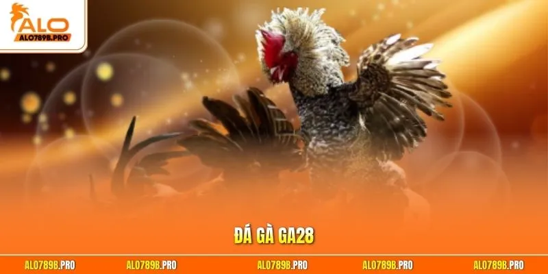Đá gà GA28