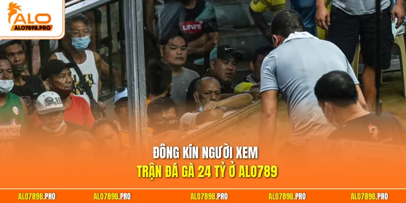 Đông kín người xem trận đá gà 24 tỷ ở Alo789