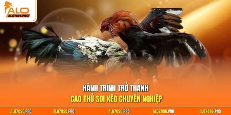 Hành trình trở thành cao thủ soi kèo chuyên nghiệp