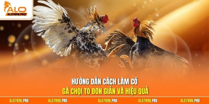 Hướng dẫn cách làm cổ gà chọi to đơn giản và hiệu quả