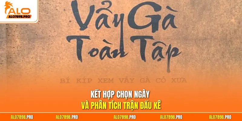 Kết hợp chọn ngày và phân tích trận đấu kê