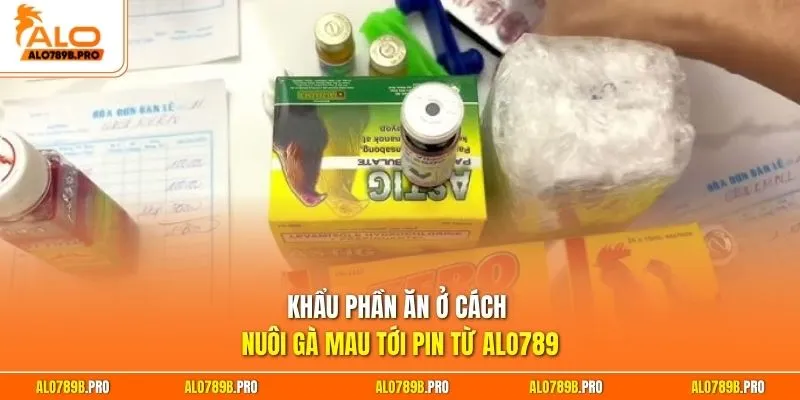 Khẩu phần ăn ở cách nuôi gà mau tới pin từ Alo789