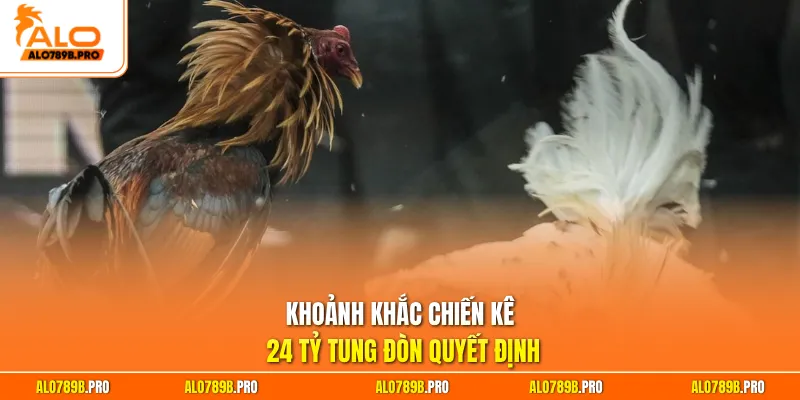Khoảnh khắc chiến kê 24 tỷ tung đòn quyết định