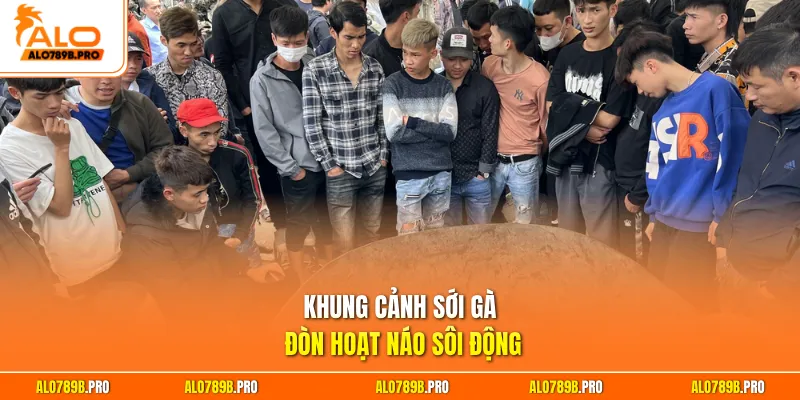 Khung cảnh sới gà đòn hoạt náo sôi động