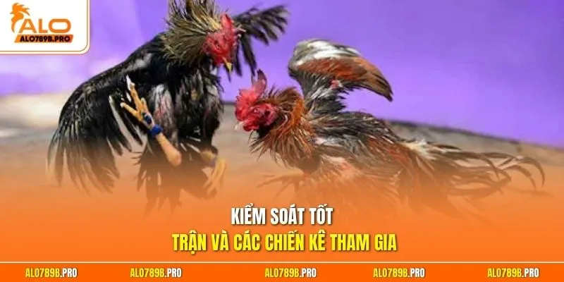 Kiểm soát tốt trận và các chiến kê tham gia