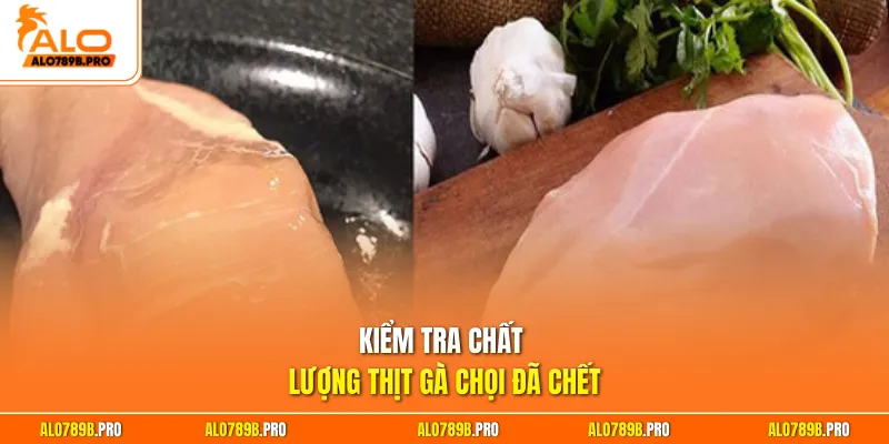 Kiểm tra chất lượng thịt gà chọi đã chết