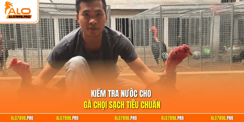 Kiểm tra nước cho gà chọi sạch tiêu chuẩn