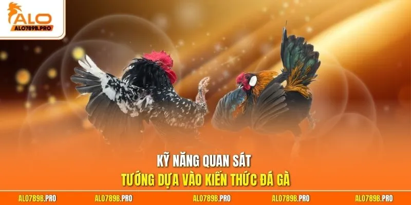 Kỹ năng quan sát tướng dựa vào kiến thức đá gà
