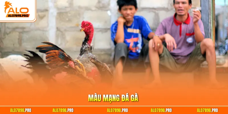 Màu mạng đá gà