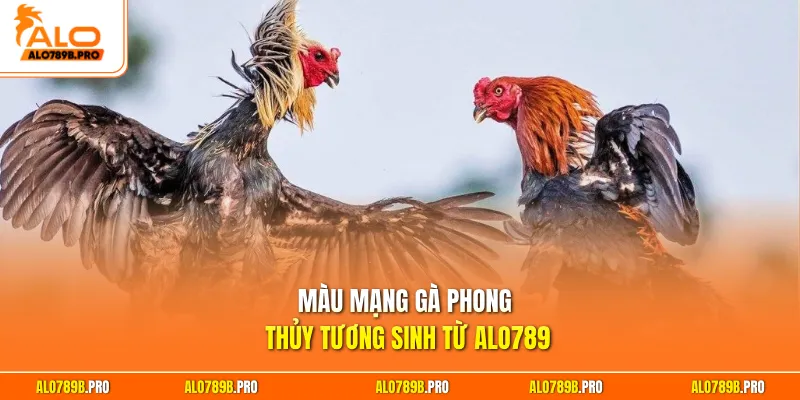 Màu mạng gà phong thủy tương sinh từ Alo789