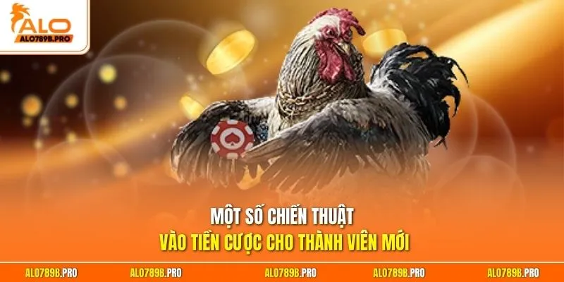 Một số chiến thuật vào tiền cược cho thành viên mới
