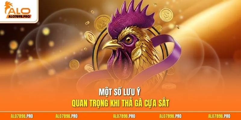 Một số lưu ý quan trọng khi thả gà cựa sắt