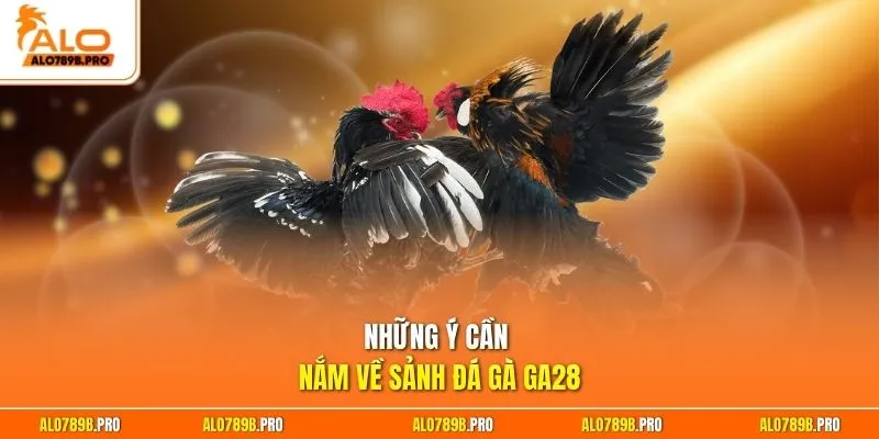 Những ý cần nắm về sảnh đá gà GA28