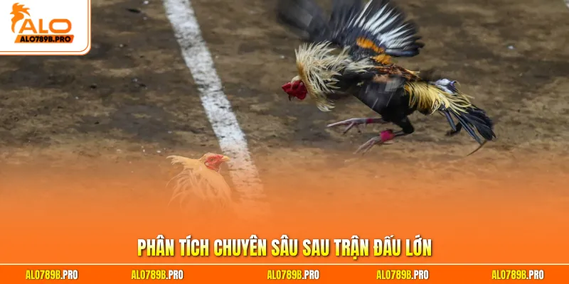 Phân tích chuyên sâu sau trận đấu lớn