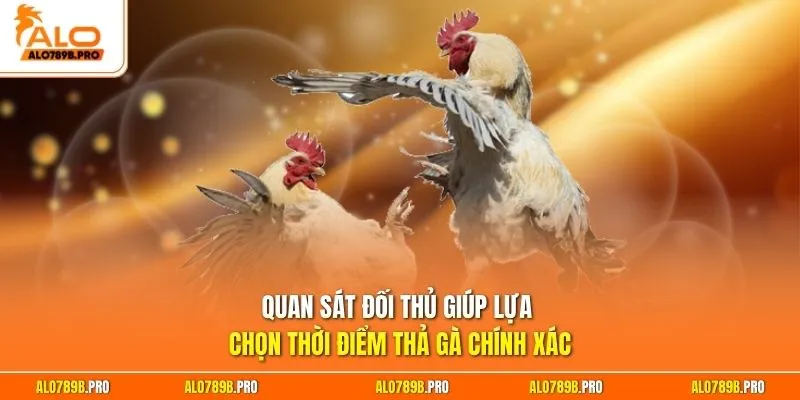Quan sát đối thủ giúp lựa chọn thời điểm thả gà chính xác