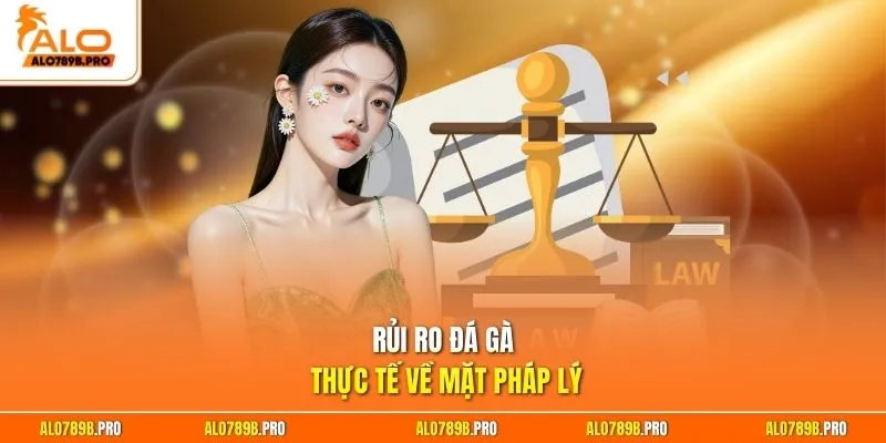 Rủi ro đá gà thực tế về mặt pháp lý