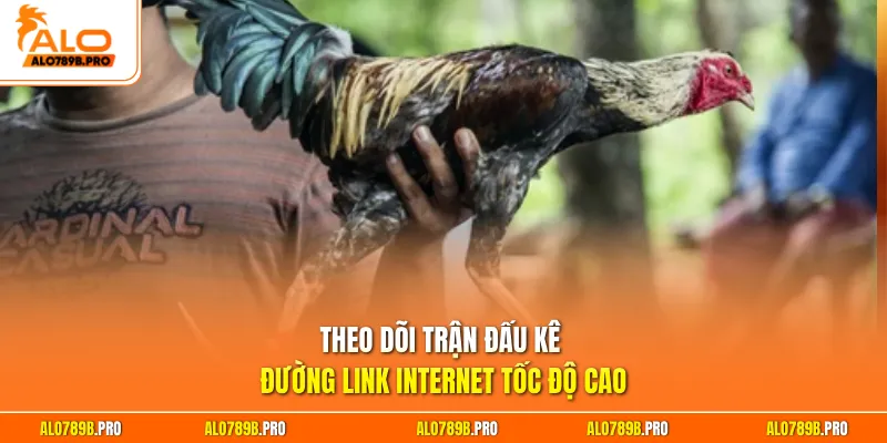 Theo dõi trận đấu gà 50 tỷ vào kèo cẩn thận