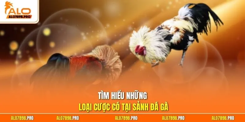 Tìm hiểu những loại cược có tại sảnh đá gà