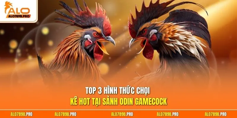 Top 3 hình thức chọi kê hot tại sảnh Odin Gamecock
