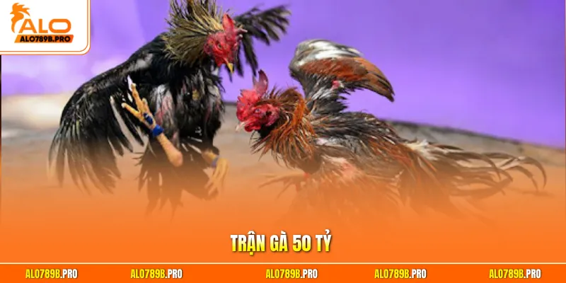 Trận gà 50 tỷ