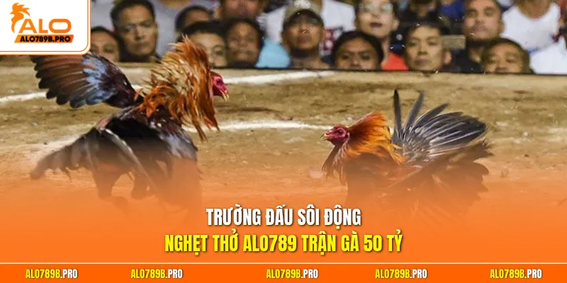 Trường đấu sôi động nghẹt thở Alo789 trận gà 50 tỷ