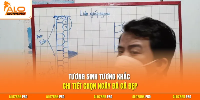 Tương sinh tương khắc chi tiết chọn ngày đá gà đẹp