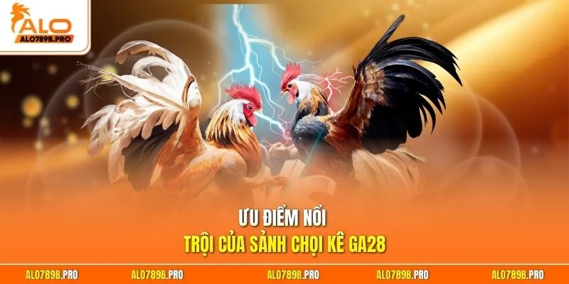 Ưu điểm nổi trội của sảnh chọi kê GA28