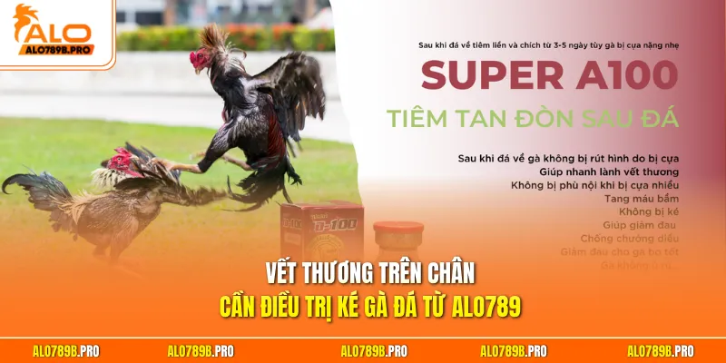 Vết thương trên chân cần điều trị ké gà đá từ Alo789